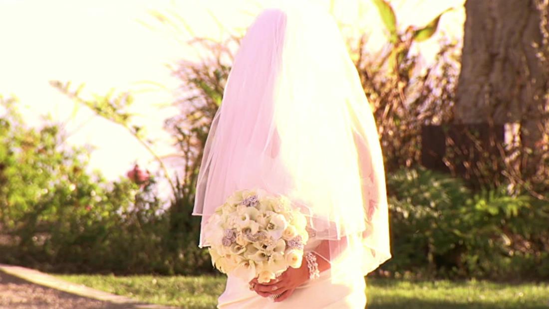The Perfect Bride The Perfect Bride