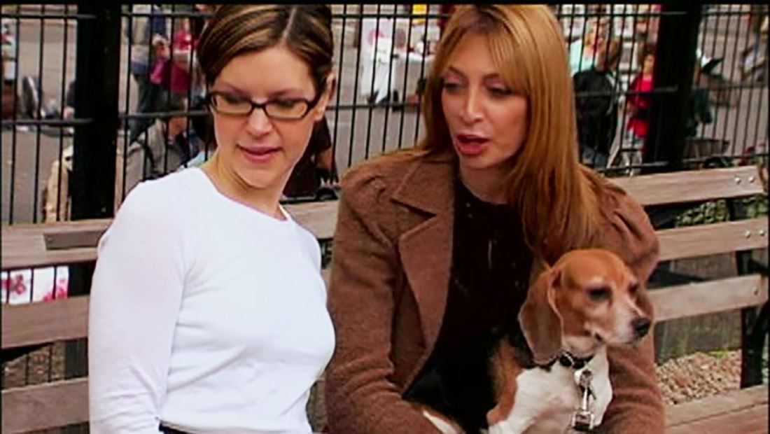 Cats and Dogs Cats and Dogs